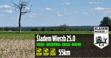 Śladem Wierzb 25 Śladem Wierzb 25
